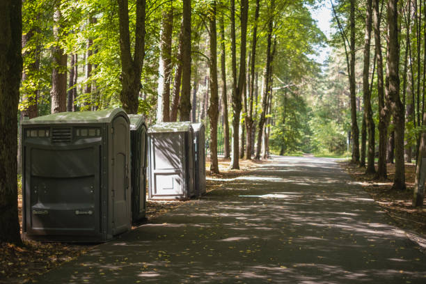 Best Sanitation services for porta potties  in Nsfield Center, MA